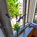 Viola Appartement *