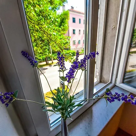 Viola Апартаменты *