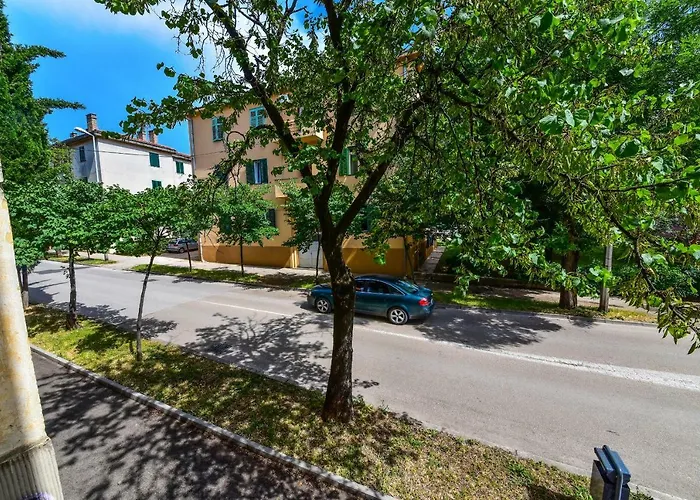 Viola Apartment