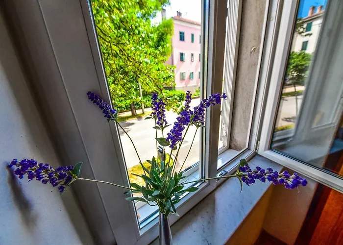 Viola Apartment *